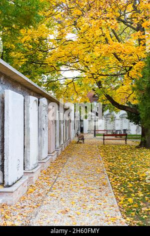 Garten der Lenck-Villa im Herbst, Sopron, Ungarn Stockfoto