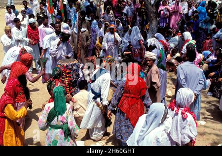 Pakistan, Provinz sind, shiddi Festival in der Nähe von Karachi, Shiddi sind die Schwarzen Pakistans mit afrikanischem Ursprung Stockfoto