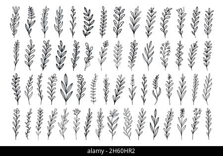 Set von handgezeichneten Vektor-Vintage-Pflanzen, Zweige mit Blättern und Blumen. Dekorative Elemente im Dessin Stock Vektor