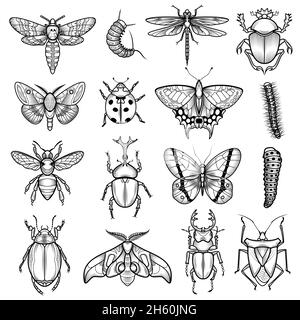 Insekten schwarz weiß Linie Symbole mit Libelle und Raupe gesetzt Flache, isolierte Vektorgrafik Stock Vektor