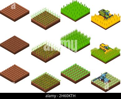 Farm Ernteset mit isolierten isometrischen quadratischen Feldschnittbildern In verschiedenen Phasen der Ernte Operationen Vektor-Illustration Stock Vektor