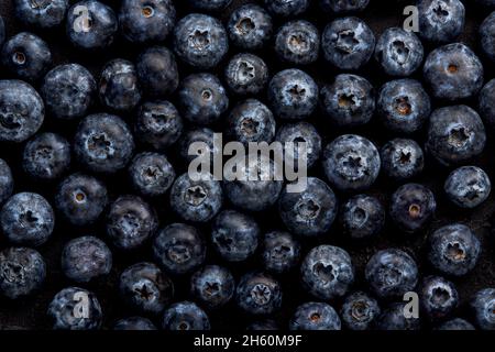 Anzeige von Blaubeeren. Stockfoto