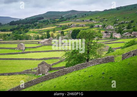 Swaledale, Blick auf traditionelle Scheunen und Trockensteinmauern in Ackerland in der Nähe von Gunnerside Dorf in Swaledale, Yorkshire Dales National Park, England Stockfoto