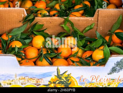 Ajaccio Markt Frische Clementinen am Marktstand Stockfoto