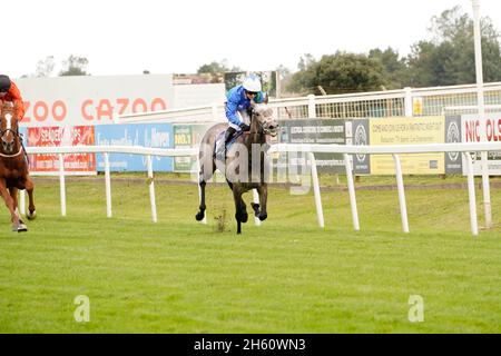 Geschmack der Atmosphäre und Nervenkitzel eines Tages bei den Rennen mit der Menge und den Pferden Stockfoto