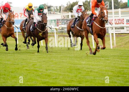 Geschmack der Atmosphäre und Nervenkitzel eines Tages bei den Rennen mit der Menge und den Pferden Stockfoto