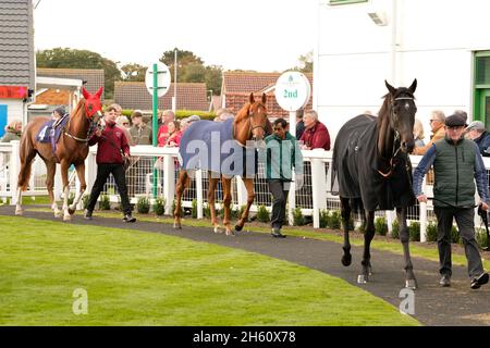 Geschmack der Atmosphäre und Nervenkitzel eines Tages bei den Rennen mit der Menge und den Pferden Stockfoto