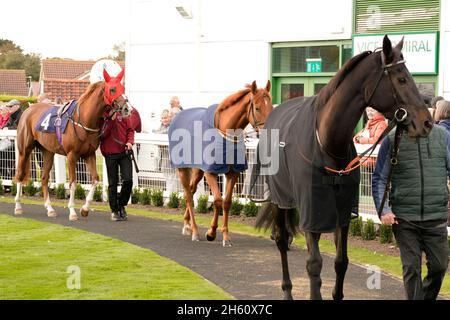 Geschmack der Atmosphäre und Nervenkitzel eines Tages bei den Rennen mit der Menge und den Pferden Stockfoto