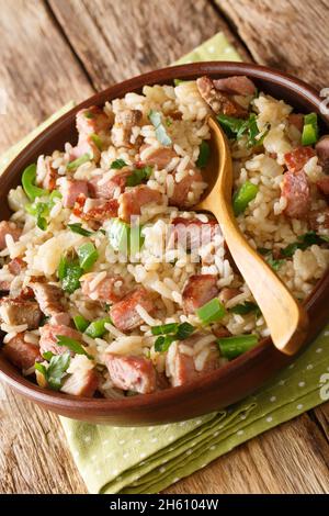 Arroz Carreteiro Brazilian Wagons Reis mit Fleisch und Gemüse in der Schüssel auf dem Tisch zu schließen. Vertikal Stockfoto