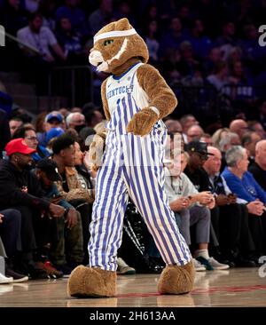 New York, New York, USA. November 2021. Maskottchen der Kentucky Wildcats während des State Farm Champions Classic im Madison Square Garden in New York City. Duke besiegte Kentucky 79-71. Duncan Williams/CSM/Alamy Live News Stockfoto