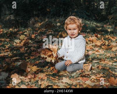 Ein süßer kleiner Junge in einem Herbstpark hält ein paar bunte Ahornblätter in seinen Händen. Stockfoto