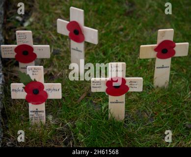 Hölzerne Kreuze mit einem roten Mohnblumen in einem Gedenkfeld aus Gras. Stockfoto