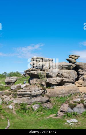 Brimham Rocks, Blick im Sommer auf einen älteren Mann, der eine stark erodierte Felsformation bei Brimham Rocks in Nidderdale, North Yorkshire, England, fotografiert Stockfoto