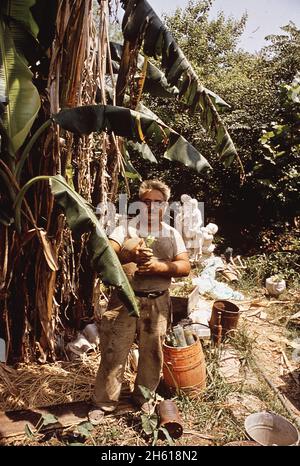 Mann mit Brille beim Spaziergang durch die Feuchtgebiete von Louisiana, südlich des Borgne-Sees, Ca. Mai 1972 Stockfoto