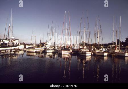 Amerika der 1970er Jahre: Boote in Bodega Bay (Kalifornien), ca. 1972 Stockfoto