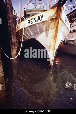 Amerika der 1970er Jahre: Boote dockten in ölgeschlucktem Wasser in Kalifornien an. 1972 Stockfoto