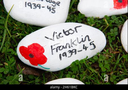 Ley Hill, Chestham, Großbritannien. November 2021. Anlässlich des Gedenktages und des Gedenksonntages wurde eine wunderschöne Mohnkaskade aus gestrickten Mohnblumen am Beacon auf dem Common in Ley Hill, Chestham, ausgestellt. Schulkinder haben auch Gedenksteine mit den Namen der Dorfbewohner gemalt, die in den beiden großen Kriegen getötet wurden. Die Steine wurden herzförmig vor einem Gedenkkreuz gelegt. Quelle: Maureen McLean/Alamy Live News Stockfoto