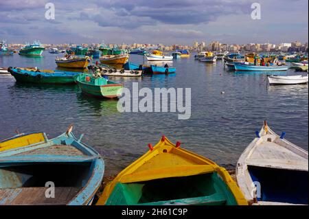 Egypte, Basse Egypte, la Côte méditerranéenne, Alexandrie, Front de mer et Port de peche. // Ägypten, Alexandria, Fischerhafen. Stockfoto