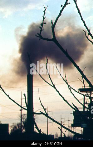 Kaiser Aluminium Pflanzen-Schornstein mit ankeimenden Baum im Vordergrund; Louisiana Ca. März 1973 Stockfoto