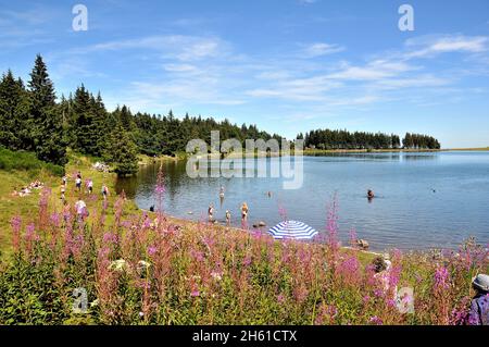 Servière See im Herzen des Regionalparks der Vulkane der Auvergne, Puy de Dôme, Auvergne, Massif-Centra, Frankreich Stockfoto