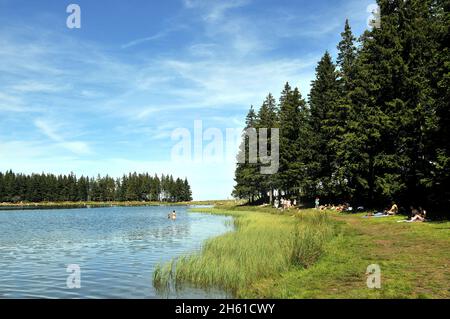 Servière See im Herzen des Regionalparks der Vulkane der Auvergne, Puy de Dôme, Auvergne, Massif-Central, Frankreich Stockfoto