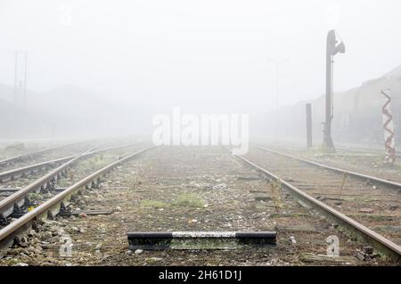 Wunderschöne Aussicht auf die Bahngleise, die auf einem leeren Bahnhof aus dem Nebel kommen Stockfoto
