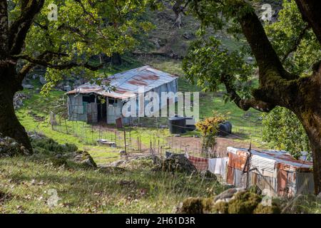 Eine arme, abwärts gewirtschaftet Farm, Heimat auf einer Bergseite. Stockfoto