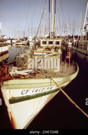 Amerika der 1970er Jahre: Ein Fischerboot, das in der Bodega Bay (Kalifornien) angedockt ist, ca. 1972 Stockfoto