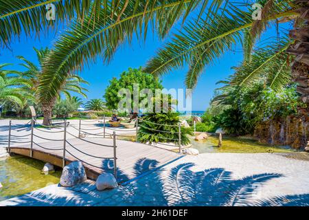 Strand und Palmen an der Riviera Küste von San Benedetto del Tronto Marche Italien Stockfoto