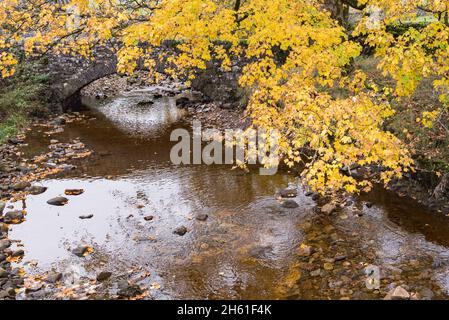 Über der Foxup-Brücke treffen sich Foxup und Cosh becks und werden zur River Skirfare.die Skirfare, die noch in Littondale liegt, ist ein Nebenfluss zum River Wharfe. Stockfoto