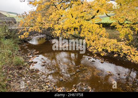 Über der Foxup-Brücke treffen sich Foxup und Cosh becks und werden zur River Skirfare.die Skirfare, die noch in Littondale liegt, ist ein Nebenfluss zum River Wharfe. Stockfoto