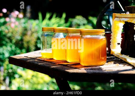 Gläser handgefertigten Honigs gerade aus Bienenstock Panel neben Biene extrahiert Stockfoto