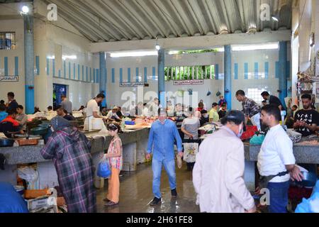 Tanger, Marokko; 7. Juli 2021: Berberfrauen kaufen Fisch auf dem 'Central Fish Market' von Tanger. Stockfoto