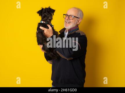Senior lächelnder Mann umarmt seinen Schnauzer Welpen isoliert auf gelbem Hintergrund. Stockfoto