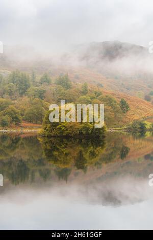 Blick über die neblige ruhige aussicht auf die Reiherinsel am Ufer des Rydal Water im Lake District, Herbst gleich um die Ecke. Stockfoto