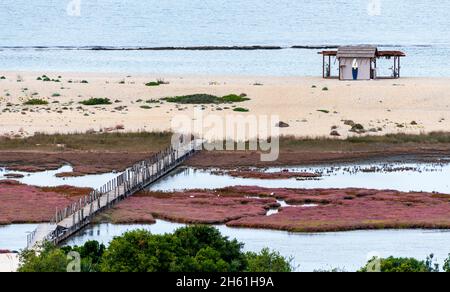 Luftaufnahme eines Salzwiesen-Feuchtgebiets mit einer Holzbrücke, die zu einer Sandbank zum Meer führt. Ein Paradies für Wildtiere. Stockfoto