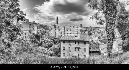 Panoramablick über das malerische Stadtzentrum von Siena, eine der meistbesuchten Touristenattraktionen Italiens Stockfoto