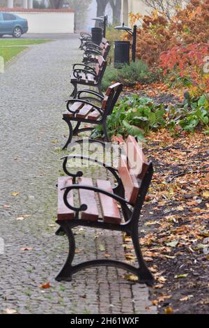 Bänke in einem herbstlichen Promenadenpark zwischen heruntergefallenen Blättern und im Nebel. Stockfoto