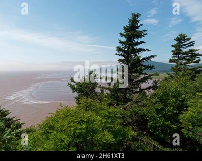 bay of fundy, kanada, Ebbe und Flut, hopewell-Felsen, New brunswick, Gezeitenbecken, Flutwellen, Wasser, die höchste Flut der Welt, Energie Stockfoto