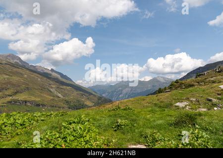 Vals, Schweiz, 21. August 2021 frisch grüne Wiese in den alpen Stockfoto