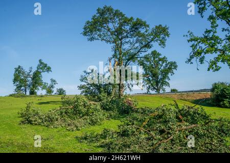 Hagelschäden und Starkregen zerstören die Landwirtschaft in bayern nördlich von murnau, zerbrochene und entwurzelte Bäume Stockfoto