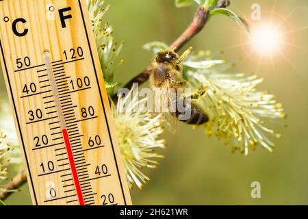 warm temperature in summer Stockfoto