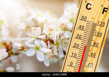 warm temperature in summer Stockfoto