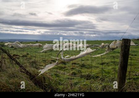 Plastikmüll, der auf dem Land am Drahtzaun gefangen ist Stockfoto