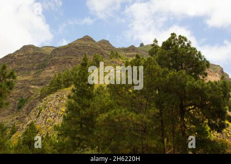 Natürliche Parklandschaft auf Gran Canaria, Spanien. Grüner Wald mit Blick auf die großen felsigen Berge. Wandern, Trekking-Konzepte Stockfoto