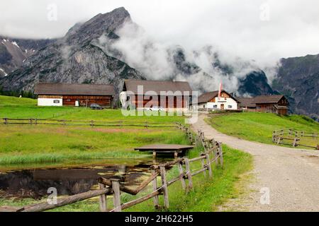 österreich,tirol,gnadenwald,walder alm,Aussicht,karwendel,Berge,alpen,Berglandschaft,Gipfel,Bergkette,Wiese,Bergwiese,Blumen,Hof,Häuser,Berghof,Pfad,Teich Stockfoto