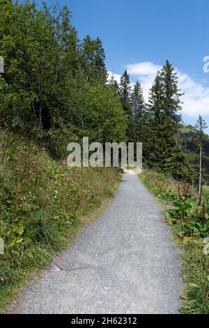 Arosa, Schweiz, 15. August 2021 kleiner Wanderweg führt in den Wald Stockfoto