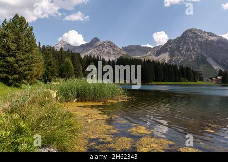 Arosa, Schweiz, 15. August 2021 Blick auf den See in idyllischer alpiner Landschaft Stockfoto