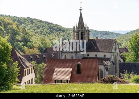 europa,deutschland,baden-württemberg,schönbuch Region,schönbuch Naturpark,bebenhausen,Kloster bebenhausen Stockfoto