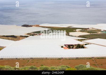 Traditionelle Gewächshäuser am Meer im Norden von Gran Canaria, Spanien. Gemüse- und Obstfabrik. Künstliche Wärme-Gewächshäuser. Gartenbau Stockfoto